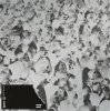 Pochette Solomun feat. Tom Smith - Night Travel (Trance Wax Remix) Solomun feat. Tom Smith - Night Travel (Trance Wax Remix)