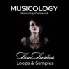 Pochette Lisa Lashes - Bladepoint (Original Mix) Lisa Lashes - Bladepoint (Original Mix)