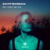 Pochette Davit Barqaia - But I Can t See You Davit Barqaia - But I Can t See You
