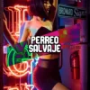 Pochette Don Omar - Dale Don Dale Don Omar - Dale Don Dale