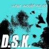 Pochette DSK - What Would We Do (Original Mix) DSK - What Would We Do (Original Mix)
