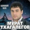 Pochette Мурат Тхагалегов - Одинокий волк Мурат Тхагалегов - Одинокий волк