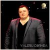 Pochette Valeriu Cornea - Cinci chiperi Valeriu Cornea - Cinci chiperi