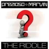 Pochette Prezioso & Marvin - The Riddle (Alternative Radio Edit Mix) Prezioso & Marvin - The Riddle (Alternative Radio Edit Mix)