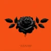 Pochette kavabanga Depo kolibri - Троянди kavabanga Depo kolibri - Троянди