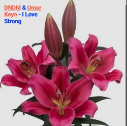 Pochette DNDM & Umar Keyn - I Love Strong