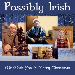 Pochette Possibly Irish - The Drunken Sailor