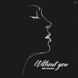 Pochette Bitwake - Without You