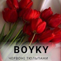 Pochette Бойки - Червоні тюльпани
