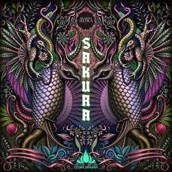 Pochette Cosmic Brahma - Refraction