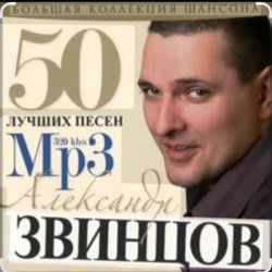 Pochette Александр Звинцов - На закате ХХ века