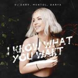 Pochette Mentol & Ida - When Love Takes Over