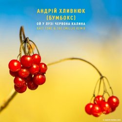 Pochette Бумбокс - Ой У Лузі Червона Калина