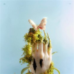 Pochette Liu Lian - Drop It High