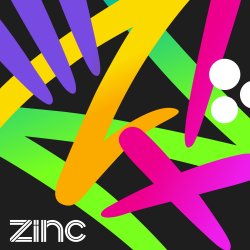 Pochette DJ Zinc & Heights - Waste My Time
