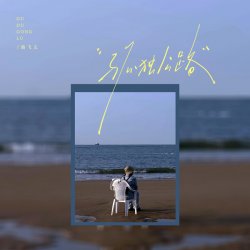 Pochette Lu Fei Wen - Lonely Road