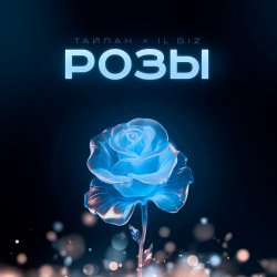 Pochette Тайпан feat. IL'GIZ - Розы