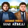 Pochette ЛАСКАВИЙ ТРАВЕНЬ - Білі лебеді ЛАСКАВИЙ ТРАВЕНЬ - Білі лебеді