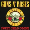 Pochette Guns N' Roses - Sweet Child O' Mine (Volture & Luigi Neighbours Hardstyle Remix) Guns N' Roses - Sweet Child O' Mine (Volture & Luigi Neighbours Hardstyle Remix)