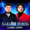 Pochette Ласкавий Травень - Cильно Кохав (IGOR MATUS Remix) Ласкавий Травень - Cильно Кохав (IGOR MATUS Remix)