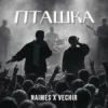 Pochette NAIMES & VECHIR - пташка NAIMES & VECHIR - пташка