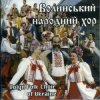 Pochette Ансамбль пісні і танцю 'Волинь' - Гиля, гиля, сірі гуси Ансамбль пісні і танцю 'Волинь' - Гиля, гиля, сірі гуси