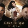 Pochette Petra & DJ Project - Gara de mai Petra & DJ Project - Gara de mai
