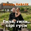 Pochette Віктор Павлік - Гиля, гиля, сірі гуси Віктор Павлік - Гиля, гиля, сірі гуси