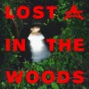 Pochette Elderbrook & Adriatique - Lost In The Woods Elderbrook & Adriatique - Lost In The Woods