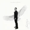 Pochette Daddy Yankee - Toy Hermoso Daddy Yankee - Toy Hermoso
