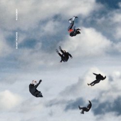Pochette Giant Rooks - Watershed