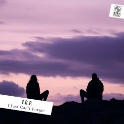 Pochette V.O.P. - I Just Can't Forget