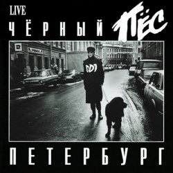 Pochette ДДТ - Чёрный пёс Петербург
