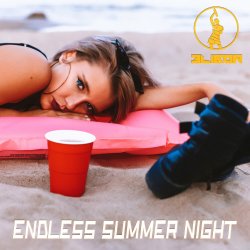 Pochette Endless Summer Night