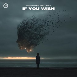 Pochette DeepSummer & Serj Lazar - If You Wish
