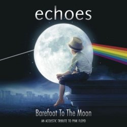 Pochette Echoes - Shine on you crazy diamond