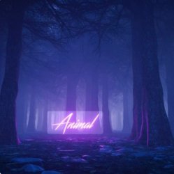 Pochette Jim Yosef feat. Riell - Animal