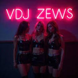 Pochette VDJ ZEWS - Random Feelings