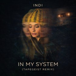 Pochette INDI - In My System
