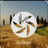 Pochette FEWZ - Golden Fields FEWZ - Golden Fields