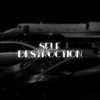 Pochette Ambassador - Self Destruction Ambassador - Self Destruction