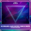 Pochette Dj Gollum feat. Alex Hilton & King & White - Higher Ground Dj Gollum feat. Alex Hilton & King & White - Higher Ground