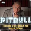 Pochette Pitbull - I Know You Want Me Pitbull - I Know You Want Me