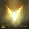 Dave & Tems - Raindance