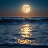 Pochette ОДМ - Moonlit Waves ОДМ - Moonlit Waves
