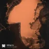 Pochette Pola & Bryson - Temple Stomp (Mixed) Pola & Bryson - Temple Stomp (Mixed)