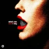 Pochette Valentino Khan & No/Me - What Can I Say Valentino Khan & No/Me - What Can I Say