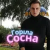 Pochette Friends in Kharkiv - Горіла сосна Friends in Kharkiv - Горіла сосна