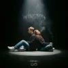 Pochette DNK - Winston DNK - Winston