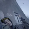 Pochette EMAA - Fluturi EMAA - Fluturi